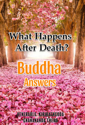 What_Happens_After_Death_Buddhas_Answers